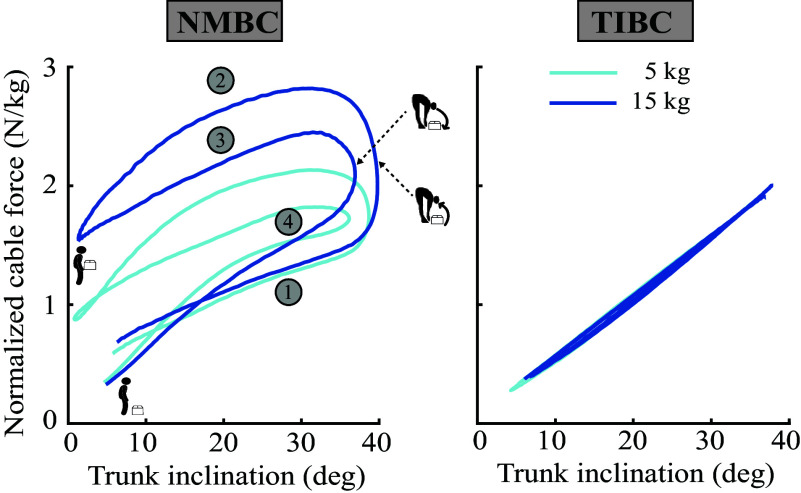 Soft back exosuit controlled by neuro-mechanical modeling provides adaptive assistance while lifting unknown loads and reduces lumbosacral compression forces.