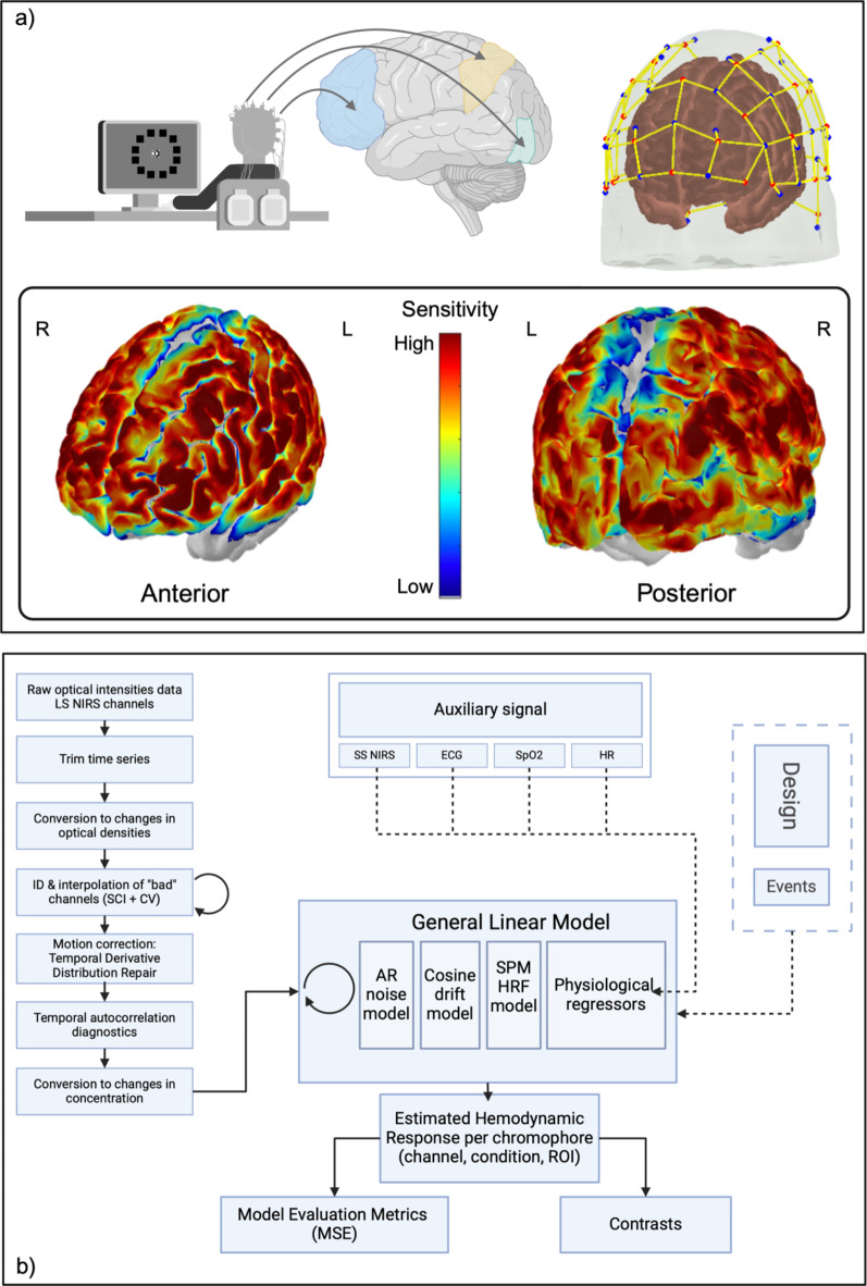 Neurocognitive dynamics and behavioral differences of symmetry and asymmetry processing in working memory: insights from fNIRS.