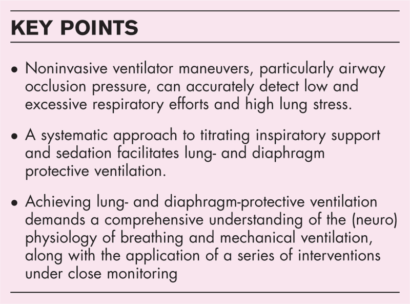 Advances in achieving lung and diaphragm-protective ventilation.