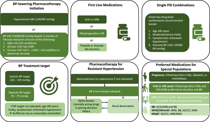 2024 ESC Guidelines for the management of elevated blood pressure and hypertension: what is new in pharmacotherapy?