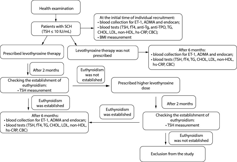 Levothyroxine therapy reduces endocan and total cholesterol concentrations in patients with subclinical hypothyroidism.