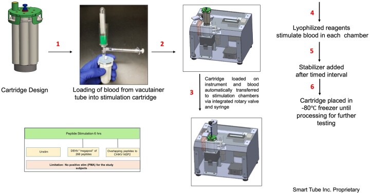 Comprehensive immune profiling of dengue and chikungunya viral responses using a novel miniaturized automated whole blood cellular analysis system and mass cytometry in a pediatric cohort in Msambweni, Kenya.