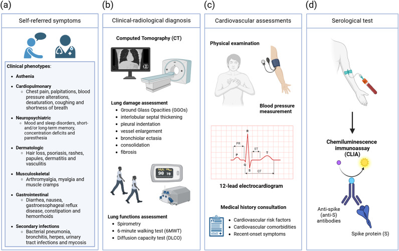SARS-CoV-2 vaccination influence in the development of long-COVID clinical phenotypes.