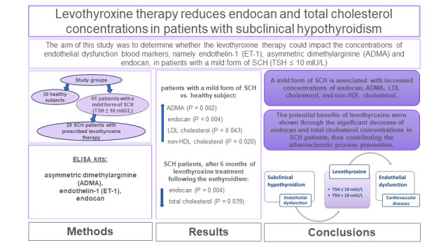 Levothyroxine therapy reduces endocan and total cholesterol concentrations in patients with subclinical hypothyroidism.