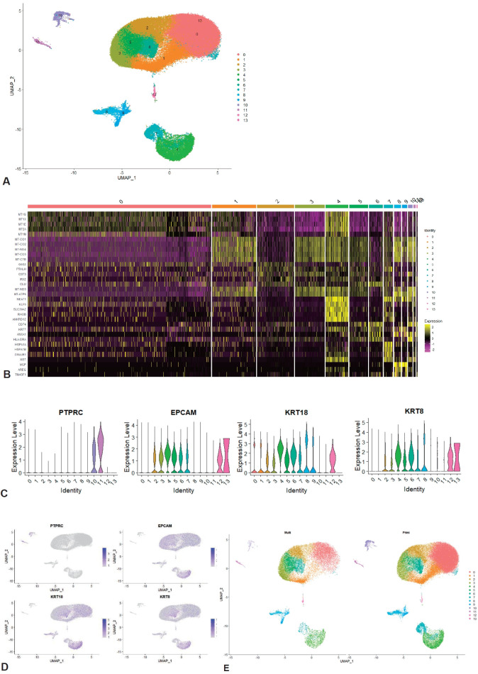 Differences in immune cells and gene expression in human milk by parity on integrated scRNA sequencing.