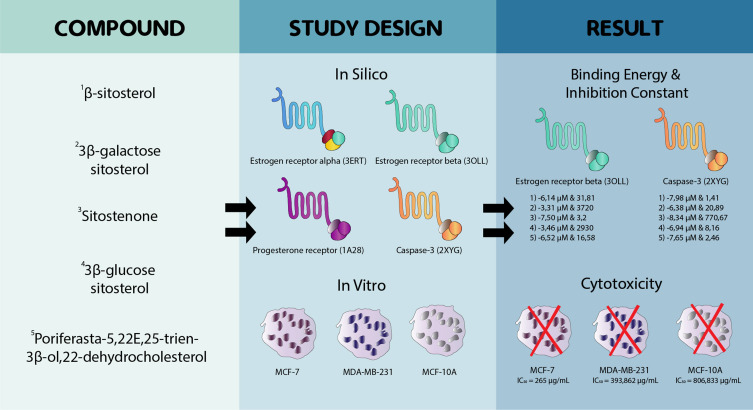Abstract Image