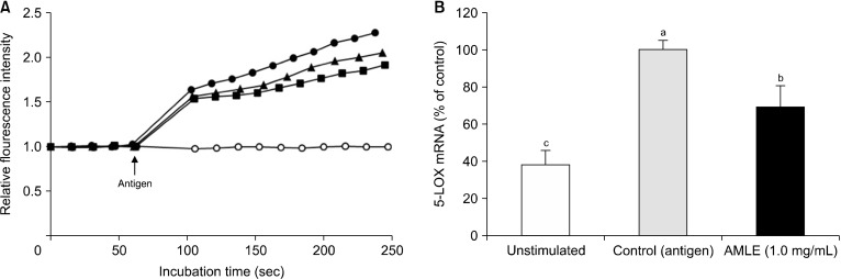 Effects of <i>Astragalus membranaceus</i> Leaf Extract on Allergic Inflammation in Immune Cell Lines.