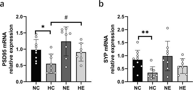Aerobic exercise training improves learning and memory performance in hypoxic-exposed rats by activating the hippocampal PKA-CREB-BDNF signaling pathway.