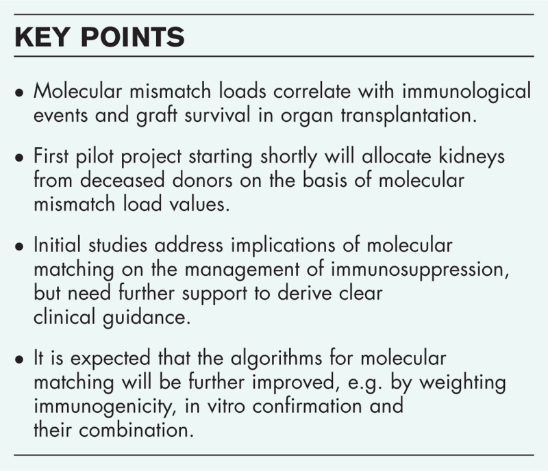 Molecular matching tools for allocation and immunosuppression optimization. Ready for primetime?