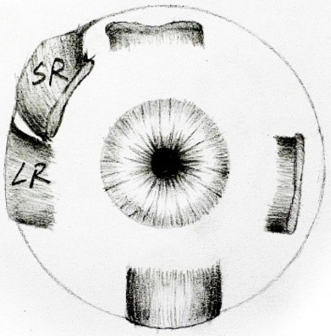 Abstract Image