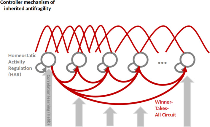 Antifragile control systems in neuronal processing: a sensorimotor perspective.