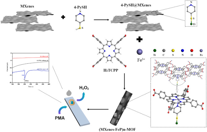 Electrochemical sensing system based on coordination bond connected porphyrin-MOFs@MXenes hybrids for in situ and real-time monitoring of H<sub>2</sub>O<sub>2</sub> released from cells.