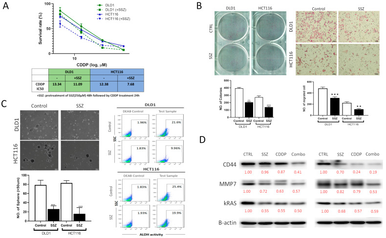 摘要图片