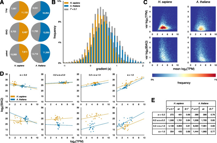 Inferring protein from transcript abundances using convolutional neural networks.