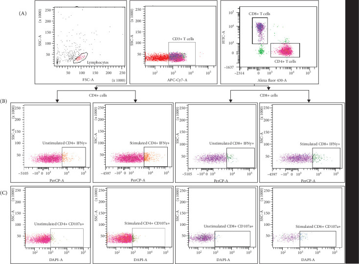 Durability of Functional SARS-CoV-2-Specific Immunological Memory and T Cell Response up to 8-9 Months Postrecovery From COVID-19.