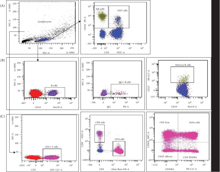Durability of Functional SARS-CoV-2-Specific Immunological Memory and T Cell Response up to 8-9 Months Postrecovery From COVID-19.