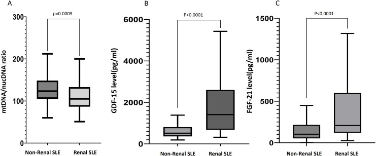 Lower circulating mitochondrial DNA and increased mitokines suggest significant mitochondrial dysfunction in systemic lupus erythematosus with renal involvement.