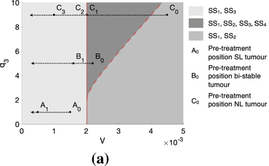 Correction to: Combining Mechanisms of Growth Arrest in Solid Tumours: A Mathematical Investigation.