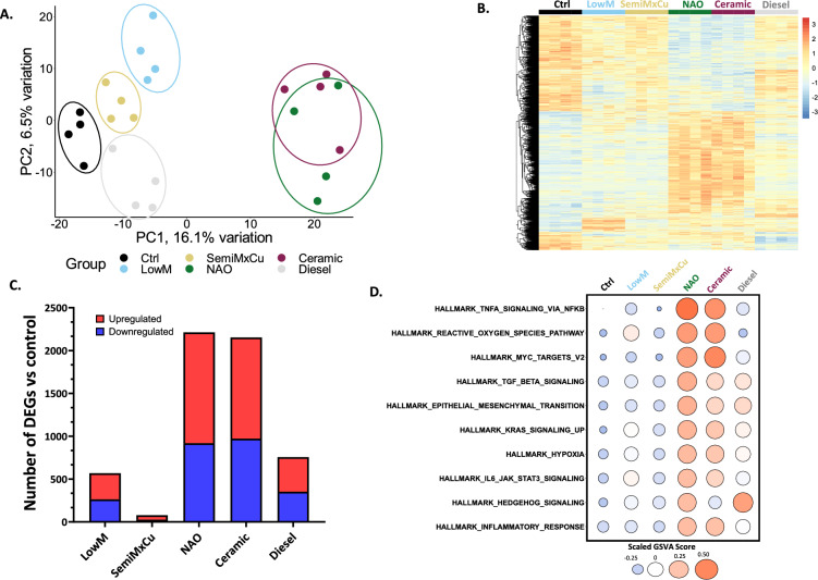 Copper-enriched automotive brake wear particles perturb human alveolar cellular homeostasis.