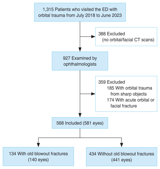 Ocular Injuries in Patients with Old Blowout Fractures Following Blunt Trauma.