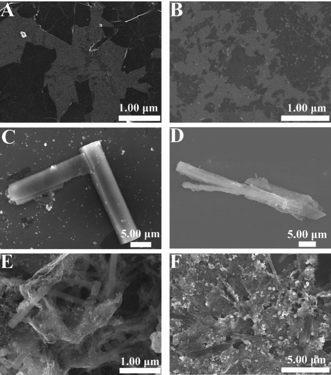 Electrochemical sensing system based on coordination bond connected porphyrin-MOFs@MXenes hybrids for in situ and real-time monitoring of H<sub>2</sub>O<sub>2</sub> released from cells.