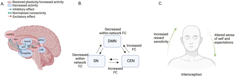 Towards an expanded neurocognitive account of ketamine's rapid antidepressant effects.