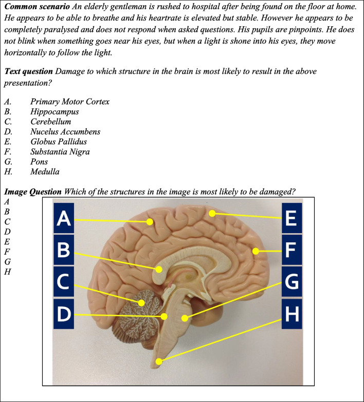 Can ChatGPT-4o Really Pass Medical Science Exams? A Pragmatic Analysis Using Novel Questions.