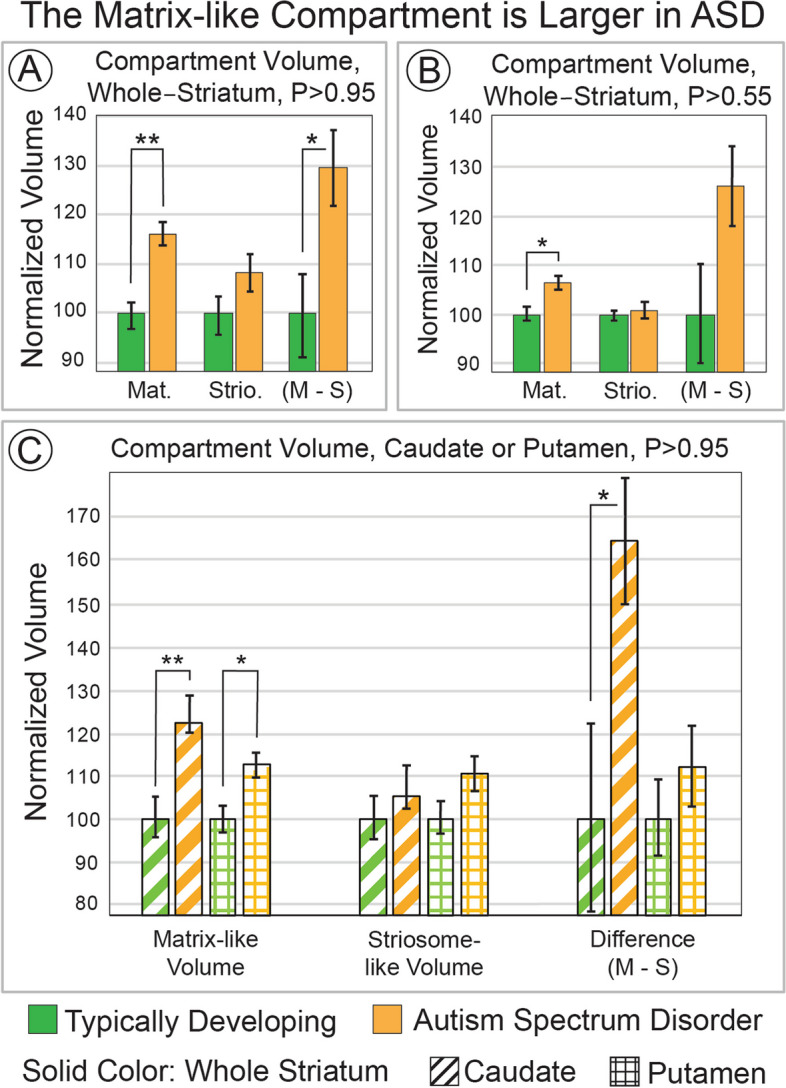 The striatal matrix compartment is expanded in autism spectrum disorder.