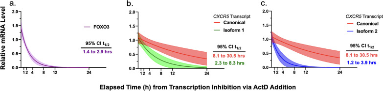 Abstract Image