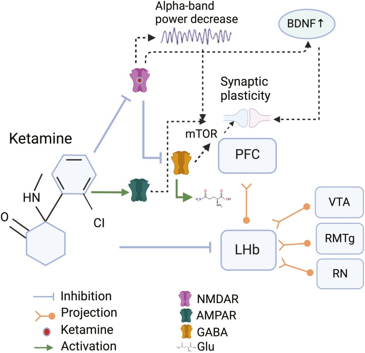 Towards an expanded neurocognitive account of ketamine's rapid antidepressant effects.