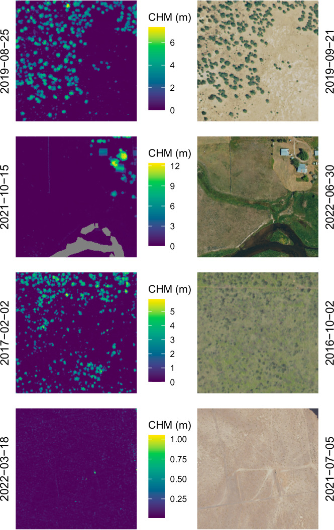 Canopy height model and NAIP imagery pairs across CONUS.