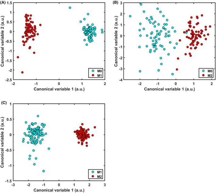 Multispectral autofluorescence for label free classification of immune cell type and activation/polarization status.