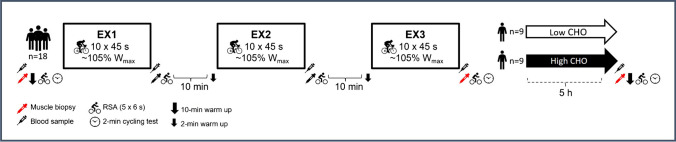 Fatiguing high-intensity intermittent exercise depresses maximal Na<sup>+</sup>-K<sup>+</sup>-ATPase activity in human skeletal muscle assessed using a novel NADH-coupled assay.