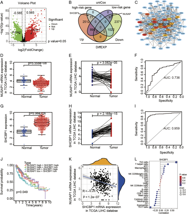 NUSAP1 Promotes Immunity and Apoptosis by the SHCBP1/JAK2/STAT3 Phosphorylation Pathway to Induce Dendritic Cell Generation in Hepatocellular Carcinoma.
