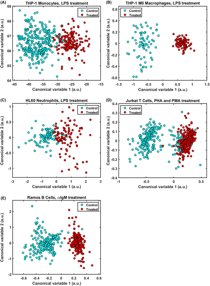 Multispectral autofluorescence for label free classification of immune cell type and activation/polarization status.