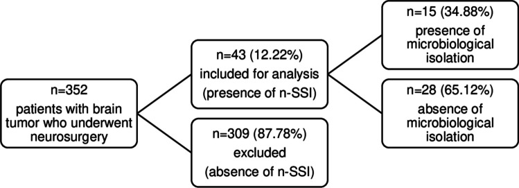 Neurosurgical site infections: a retrospective monocentric study of pediatric brain tumor patients.