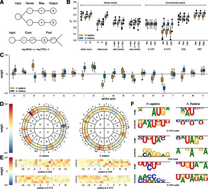 Inferring protein from transcript abundances using convolutional neural networks.