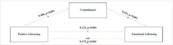 Mediating effect of psychological resilience in the relationship between cognitive emotion regulation and emotional well-being of medical students.