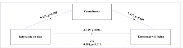 Mediating effect of psychological resilience in the relationship between cognitive emotion regulation and emotional well-being of medical students.