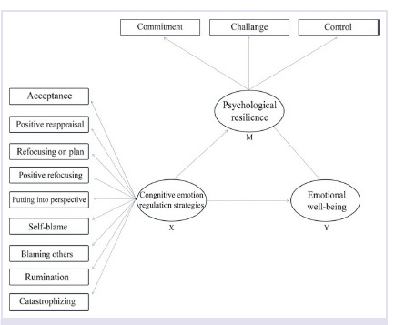 Mediating effect of psychological resilience in the relationship between cognitive emotion regulation and emotional well-being of medical students.