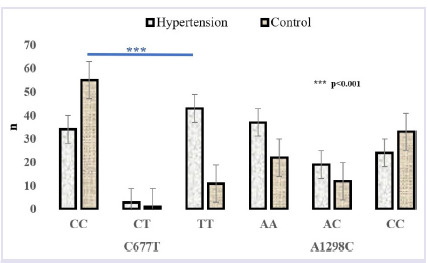 Investigation of the effects of MTHFR gene variations and homocysteine levels in hypertensive patients.