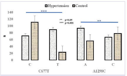Investigation of the effects of MTHFR gene variations and homocysteine levels in hypertensive patients.