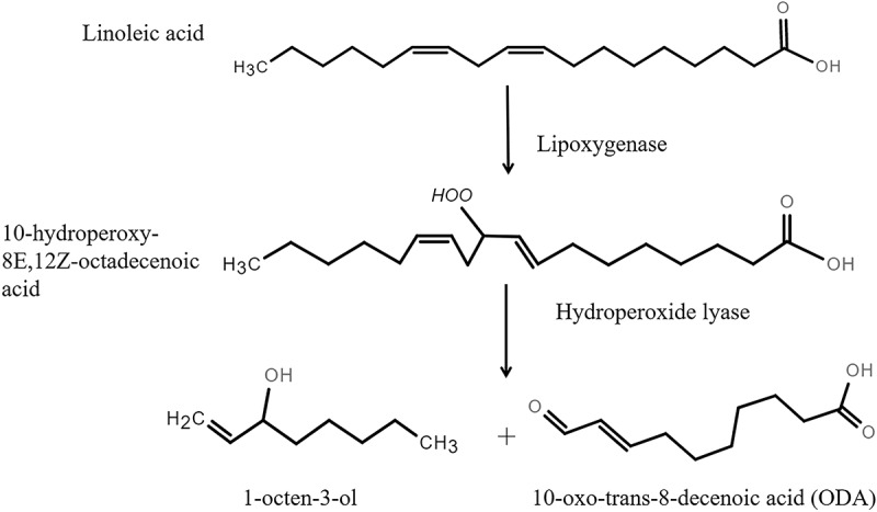 Diversity and functions of fungal VOCs with special reference to the multiple bioactivities of the mushroom alcohol.