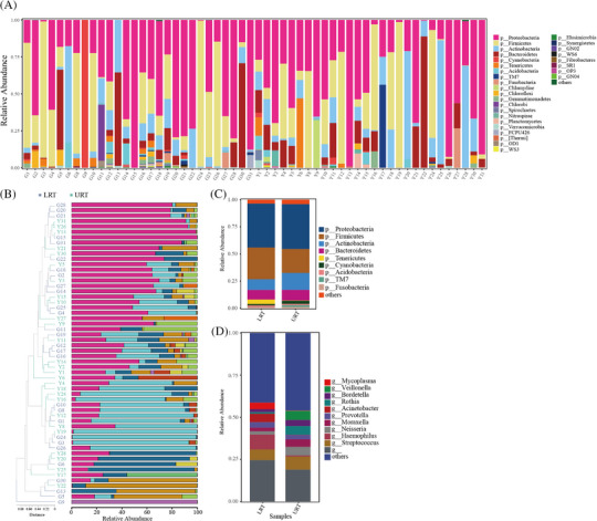 Microbiota diversity and differences in the respiratory tract of children with pneumonia.
