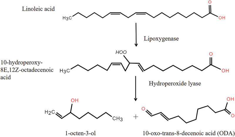 Diversity and functions of fungal VOCs with special reference to the multiple bioactivities of the mushroom alcohol.