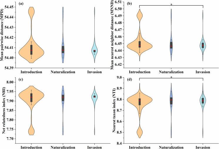 Phylogenetically close alien Asteraceae species with minimal niche overlap are more likely to invade.