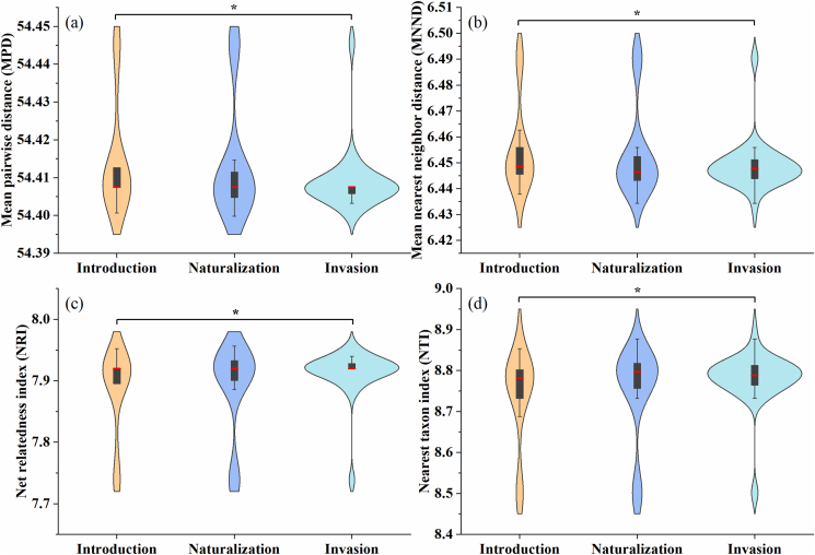 Phylogenetically close alien Asteraceae species with minimal niche overlap are more likely to invade.