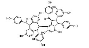 Abstract Image