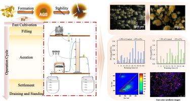 Fe3+ addition for enhancing the formation and stability of aerobic granular sludge to treat low-strength wastewater