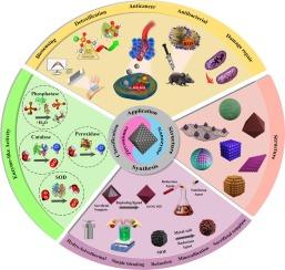 Recent advances on biomedical applications of zirconium-based Nanozymes: A review